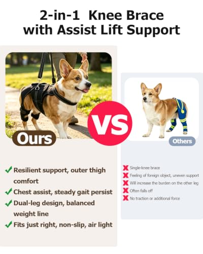 Adjustable Dog Knee Brace Lift Harness (S)