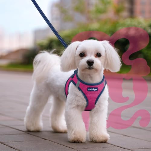 Dog Harness Small Sized and Leash Set (Rose Red & Navy Blue / M (Chest: 16.0"-18.5"))