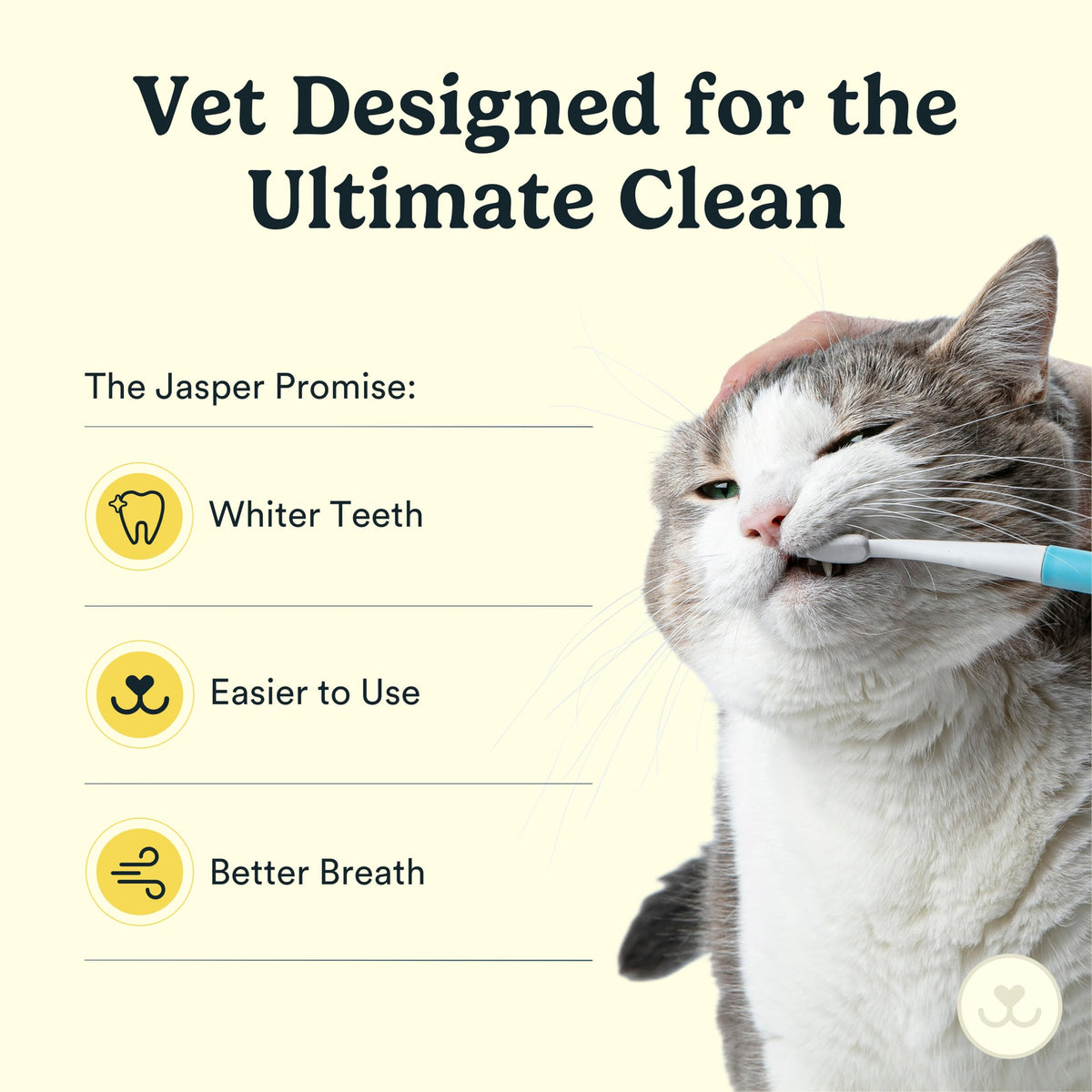 Microbrush Vet Approved Cat Toothbrush (Blue 4 Pack)