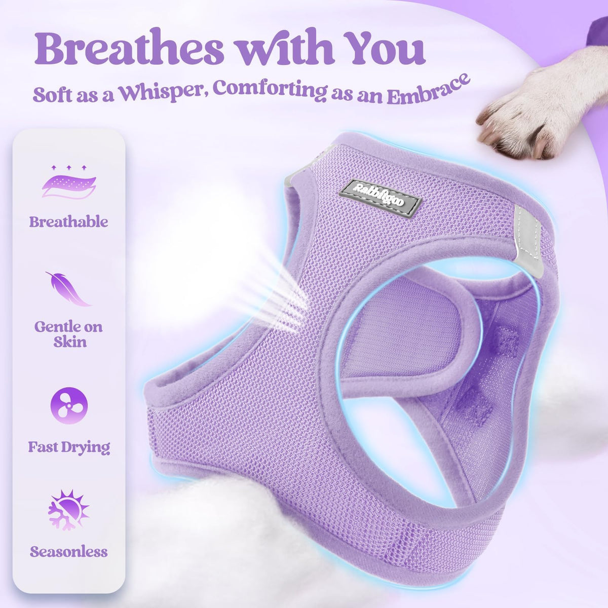 Dog Harness Small Sized and Leash Set (Light Purple / Xs (chest: 13.3 - 15.5"))