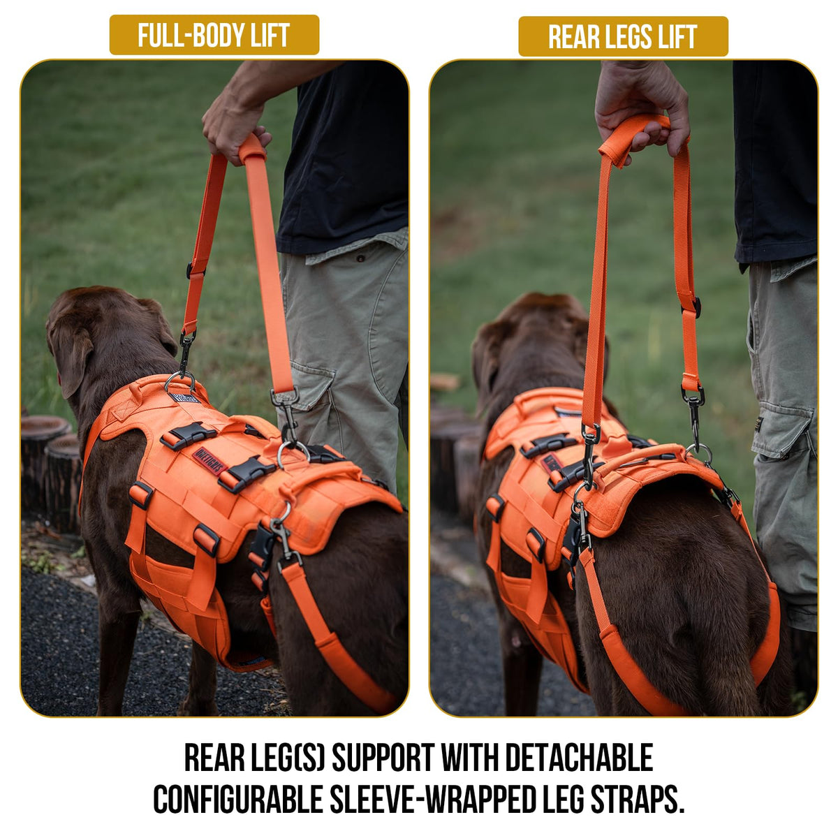 Dog Lift Harness for Large Dogs (Orange / XL)