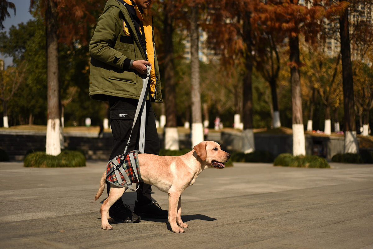 Dog Lift Harness (Large / Hind Legs-Orange)