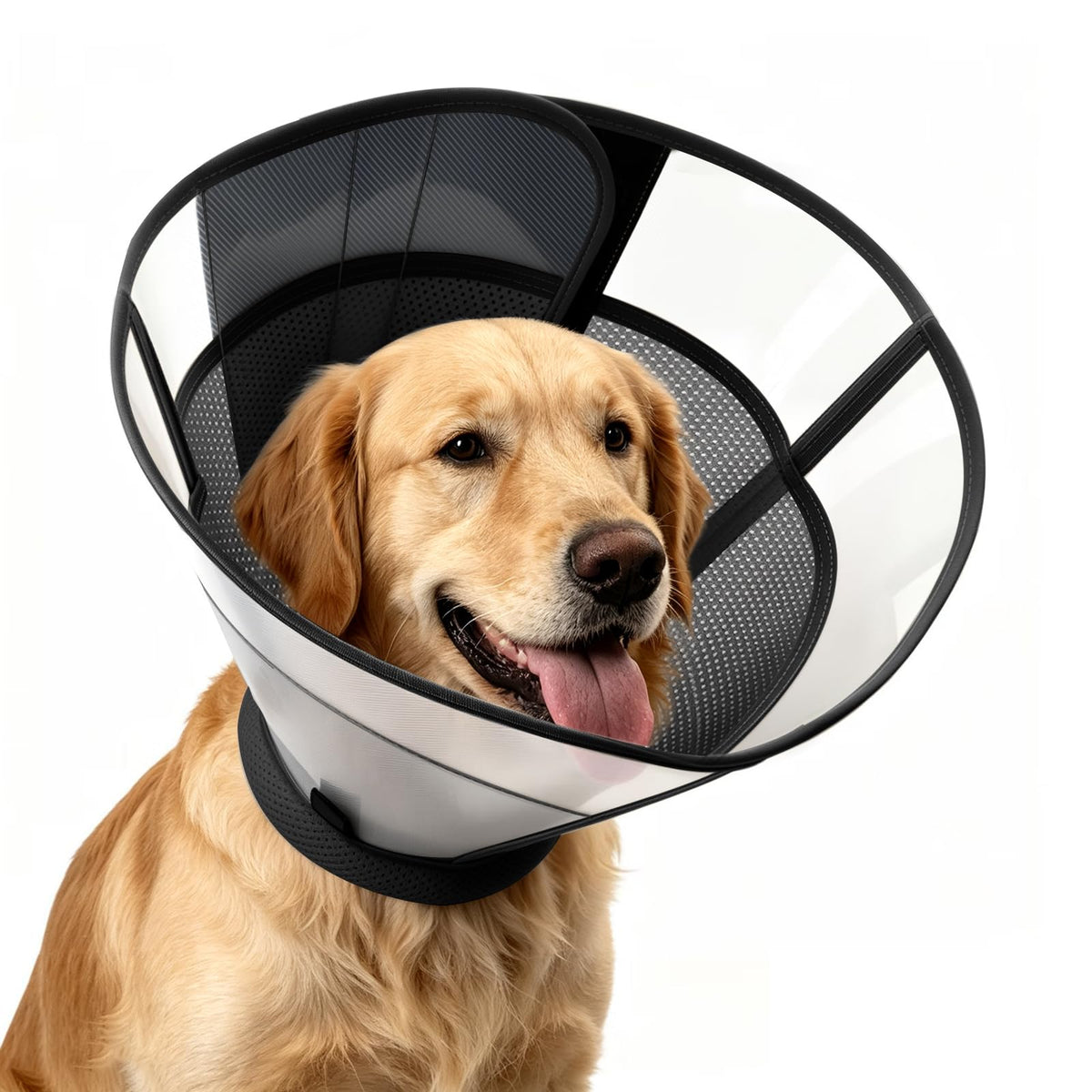Dog Cone to Stop Licking (XS (Neck: 8.7-9.8") / Black)