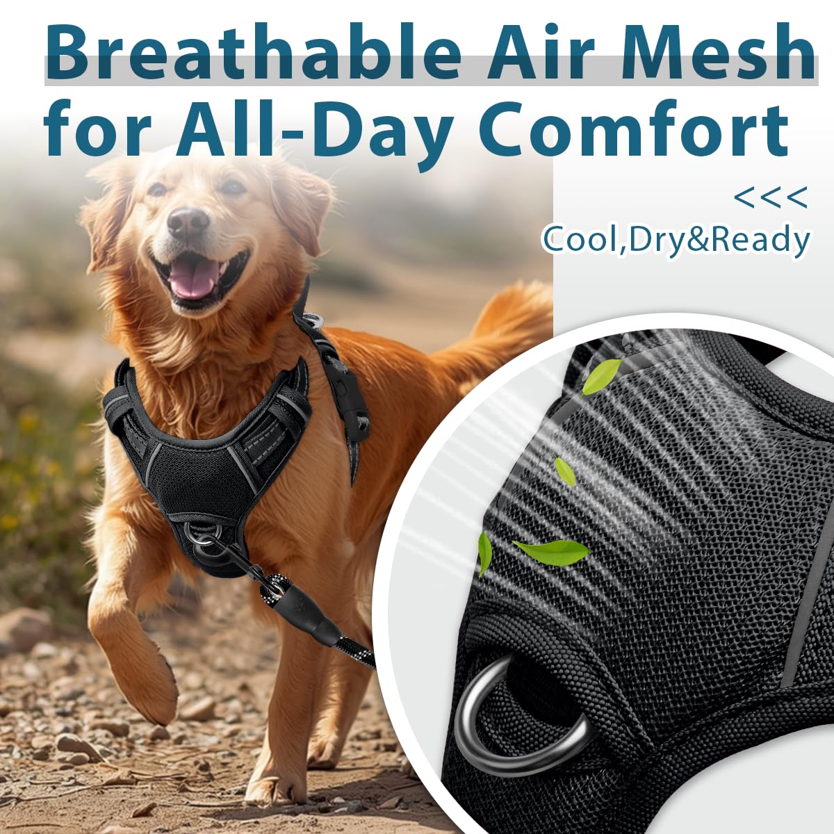 No Pull Dog Harness for Large Dogs (Black / X-Large(Chest:30-38”))