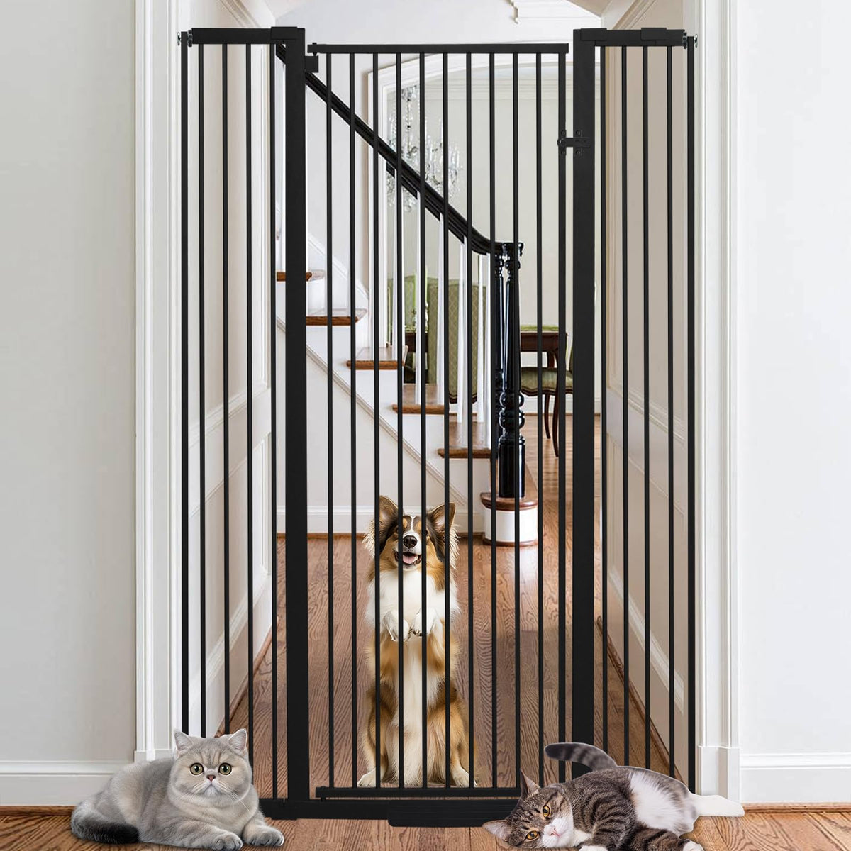 55 Inch Extra Tall Pet Gate for Cats (Black / 55" tall,29.92" - 48")