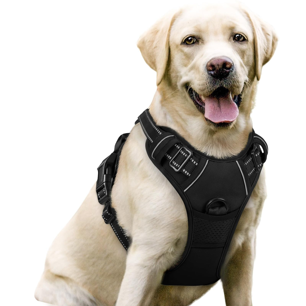 Dog Harness No Pull for Large Dogs with 2 Leash Clips (Large / Black)