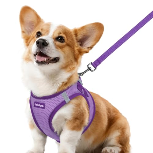 Dog Harness Small Sized and Leash Set (Light Purple & Purple / L (Chest: 18.2"-20.5"))