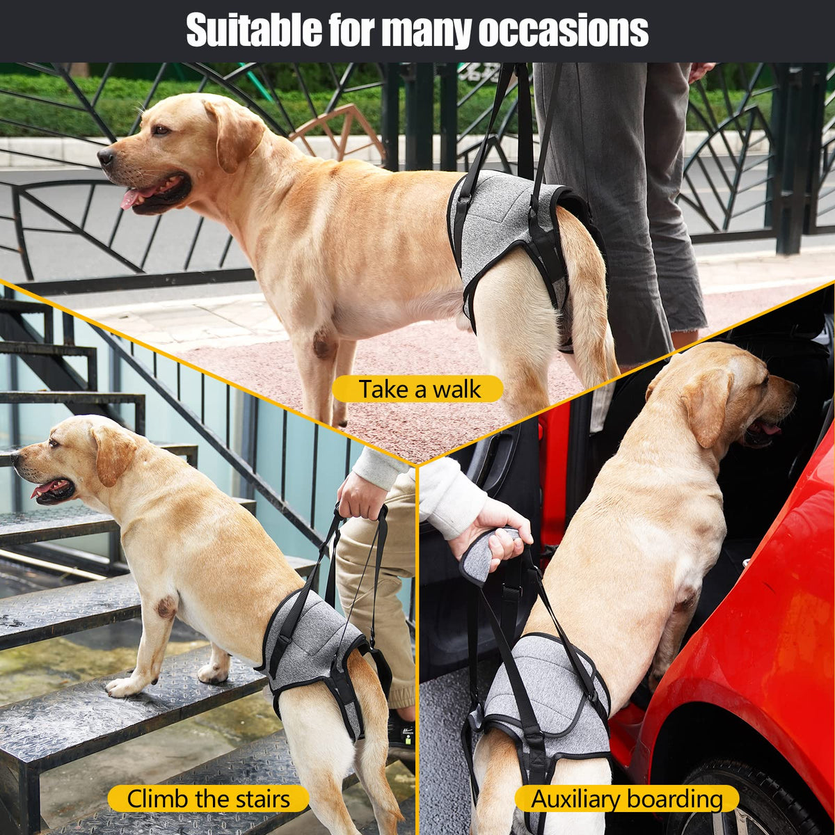Dog Lift Harness for Dogs (Grey / Small)