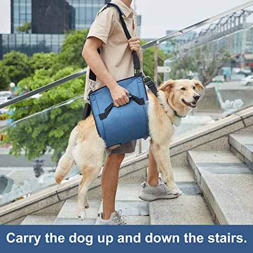 Dog Carry Sling (X-Large / Blue)