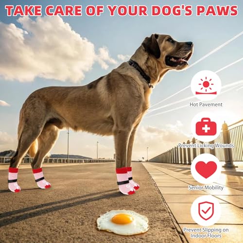 Dog Socks for Hot