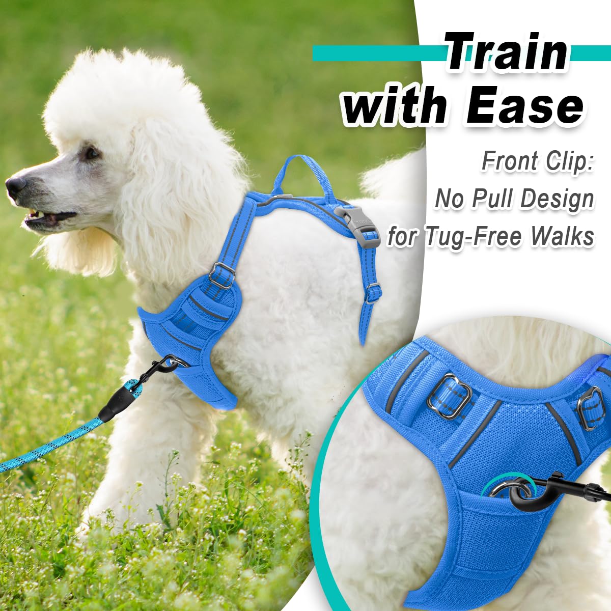 Dog Harness for Small Sized Dog No Pull Mesh 2 Clips Dog Vest (Blue-Mesh / Small)