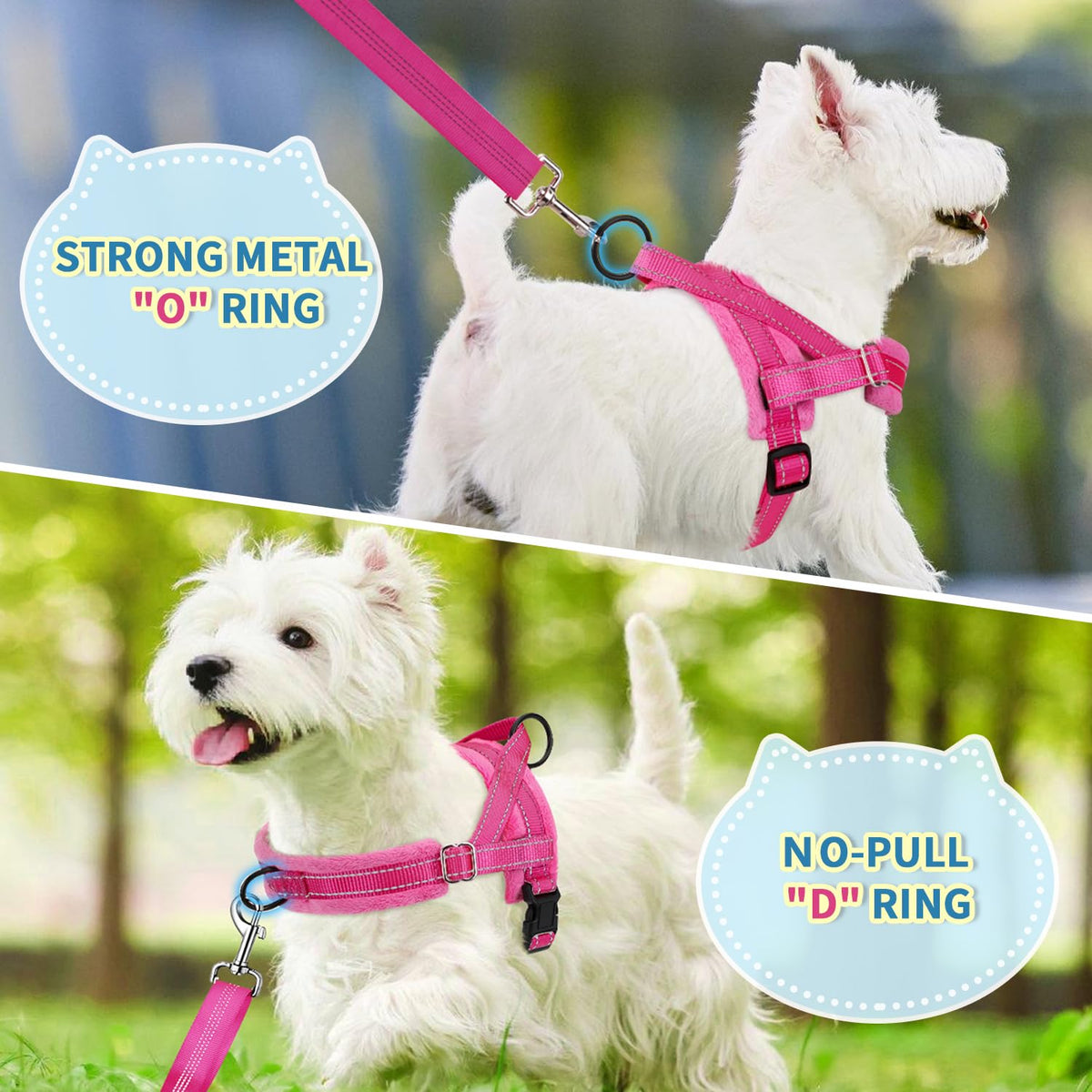 No Pull Small Dog Harness and Leash Set with Front Clip (X-Small / Fuchsia)