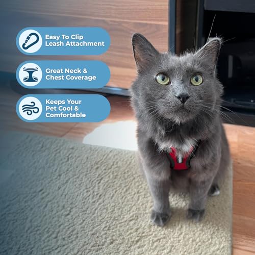 Voyager Step in Lock Cat Harness & Leash Set (Red/Black Trim / XXXS (Chest: 10.5 - 13"))