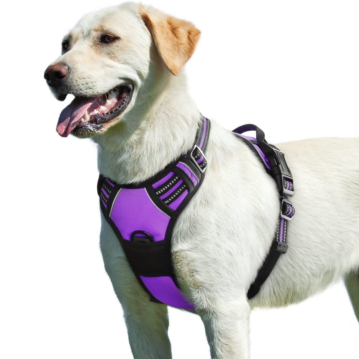 Dog Harness for Large Dogs (Large / Purple)