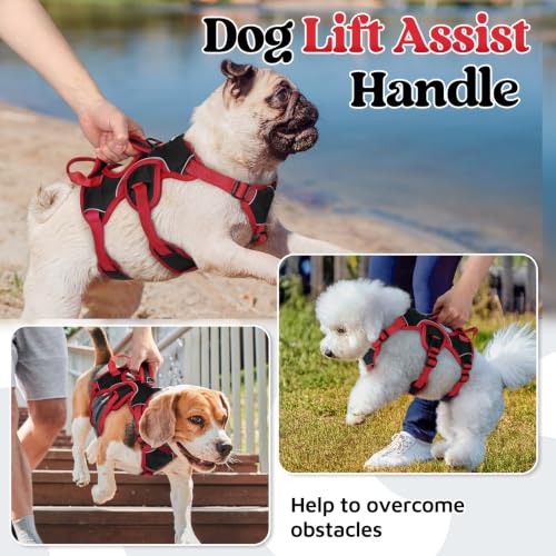 Escape Proof Dog Harness for Small (Red & Black / Small)