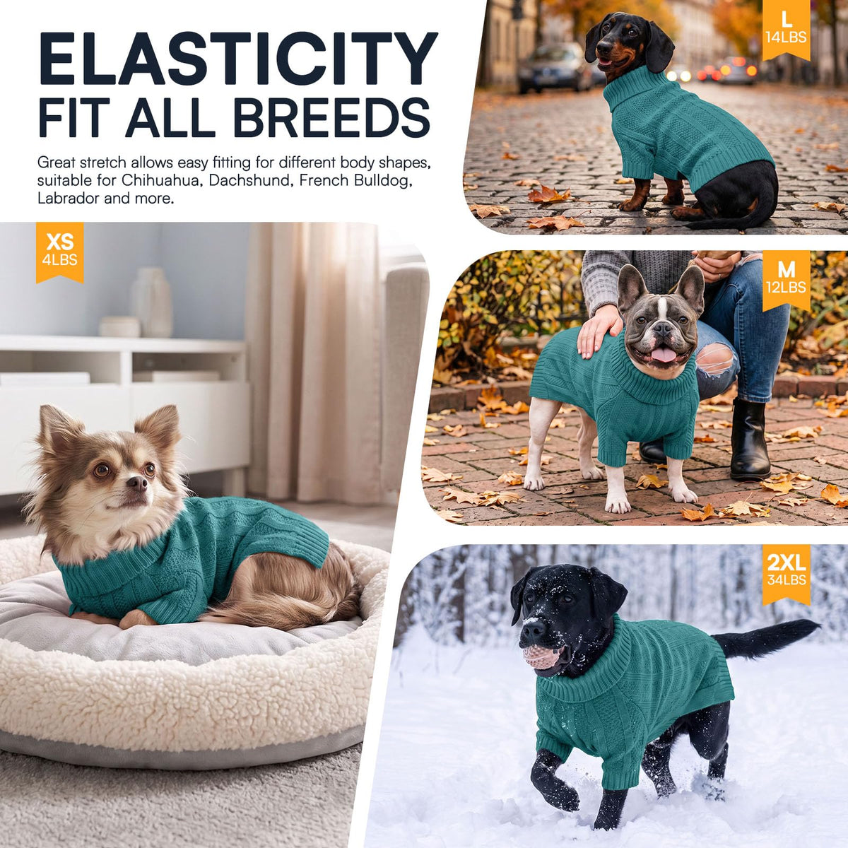 Small Dog Sweaters for Small Dogs Girl Boy (Small / Peacock Blue)