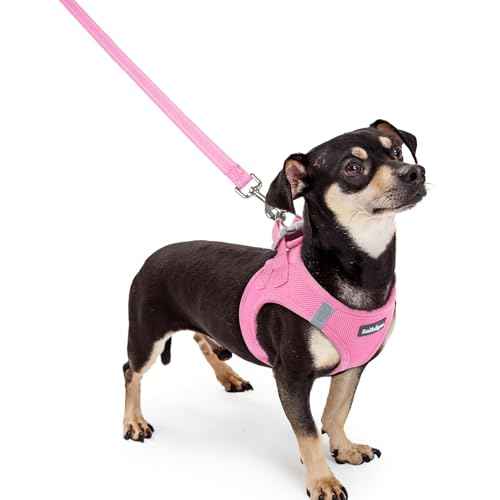 Dog Harness Small Sized and Leash Set (Light Pink / Xxxs (chest: 10.8 - 11.8"))