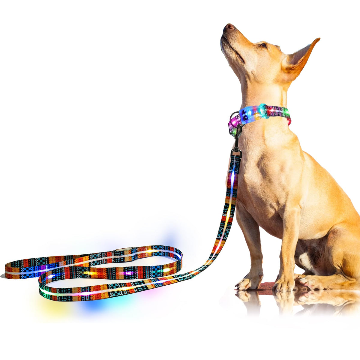 Light Up Dog Leash USB Rechargeable for Small Medium Large Dogs (Bohemian Orange / L59in/W1in)