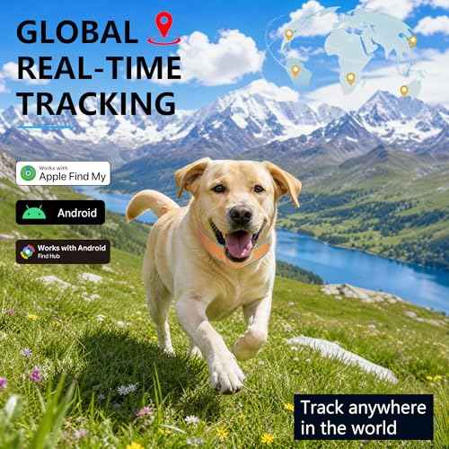 GPS Tracker for Dogs (Brown / L(12.5''-21''))