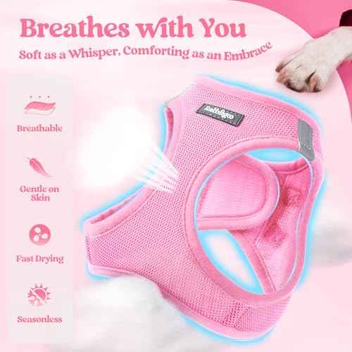 Dog Harness Small Sized and Leash Set (Light Pink / Xxxs (chest: 10.8 - 11.8"))