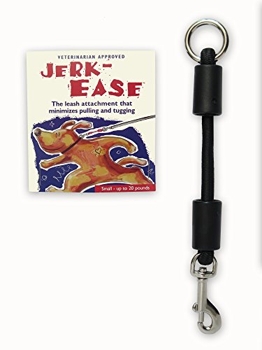 BUNGEE DOG LEASH EXTENSION (Small (up to 20 pounds) / Black)