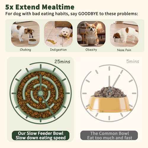 Elevated Slow Feeder Dog Bowl (Green / 1.5 Cups)