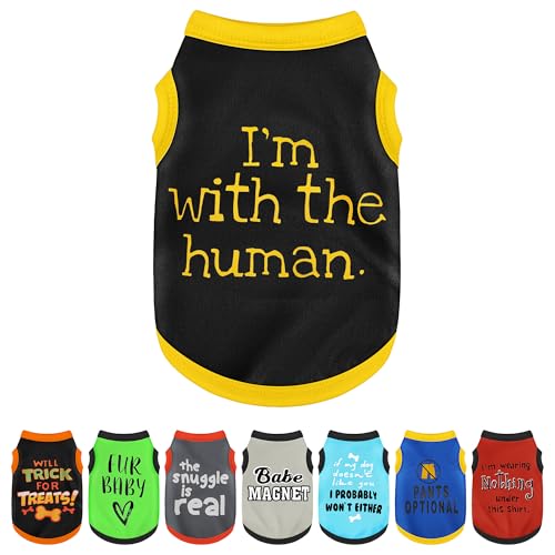 Elevate Your Pet's Seasonal Style with Playful Panache (M-(6~9lb) | Chest(~15.5") / with the human)