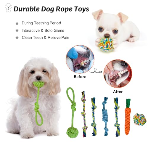 20Pcs Puppy Chew Toys for Teething (Frog)
