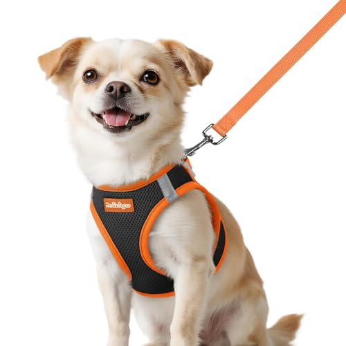Dog Harness Small Sized and Leash Set (Black & Orange / XXS (Chest: 12.4"-14.2"))
