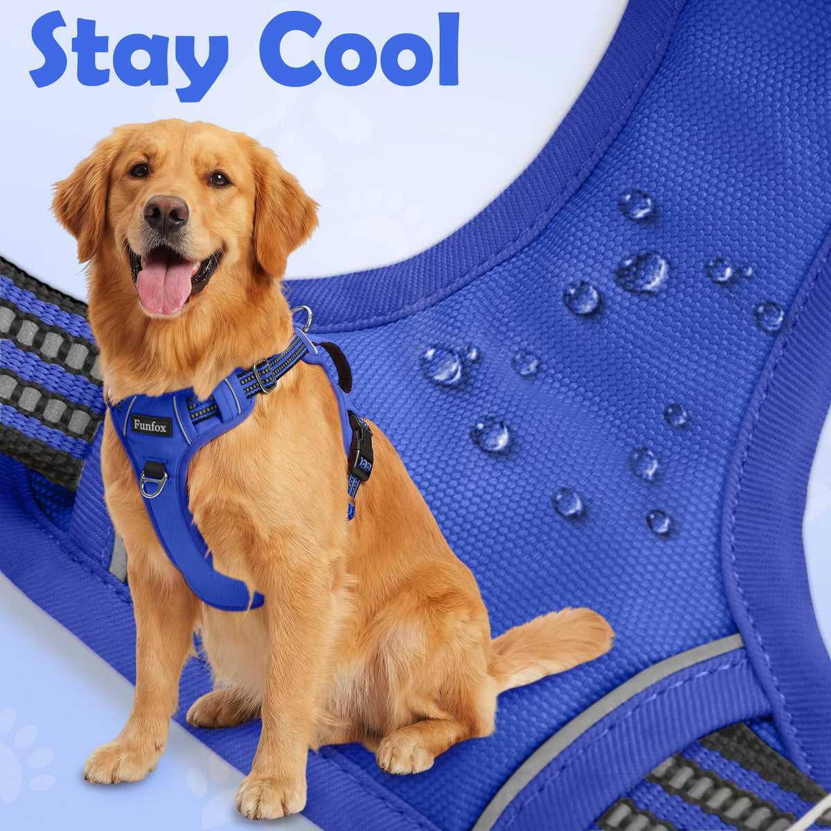 Dog Harness No Pull (Blue / Medium)