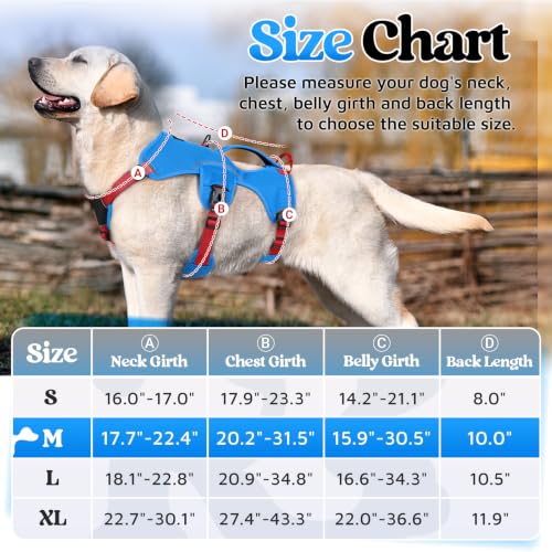 Escape Proof Dog Harness for Medium (Red & Blue / Medium)