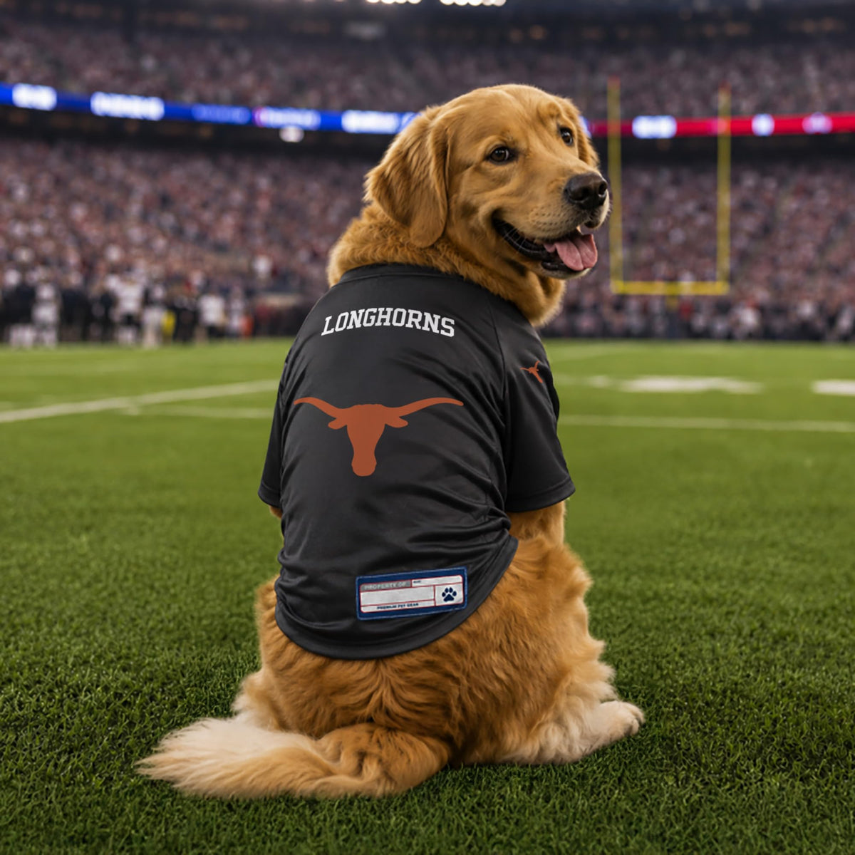 NCAA Texas Longhorns Stretch Pet Jersey (Texas Longhorns / X-Large)