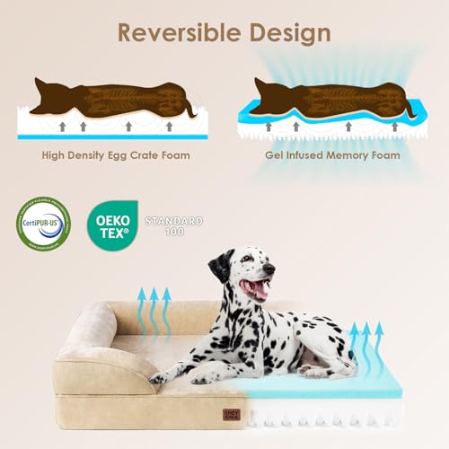 Orthopedic XXL Dog Bed (Graige / 46.0"l X 35.0"w X 7.5"th)