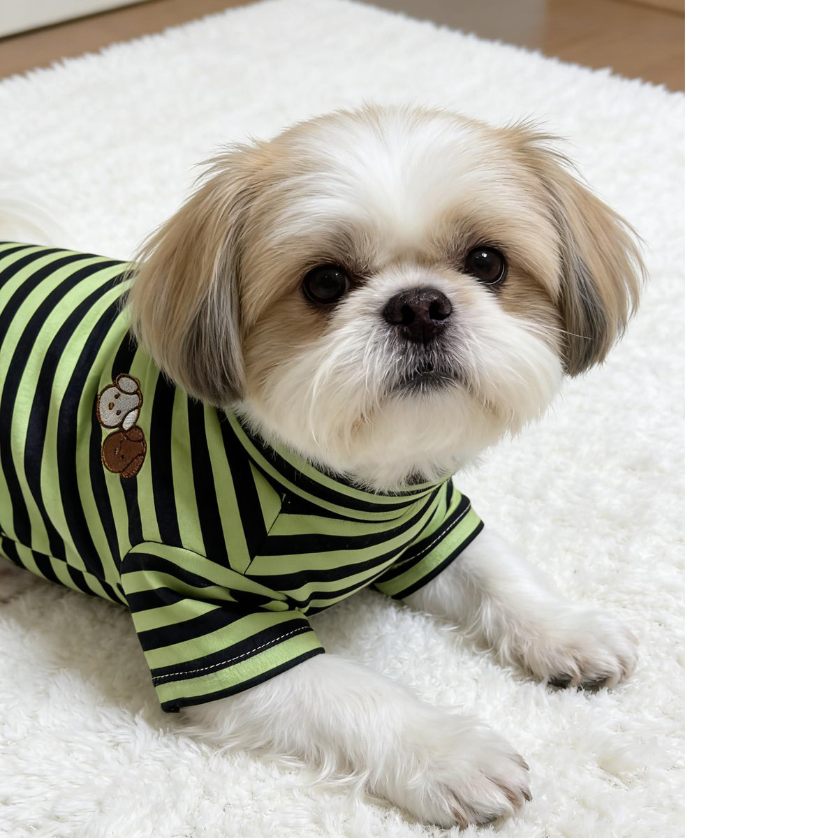 Turtleneck Dog Shirt Cute Doggie Embroidery Super Soft Dog Sweatshirt Stretchy Striped Puppy Pullover for Cats Small Medium Large Dogs (Green Striped / Medium)