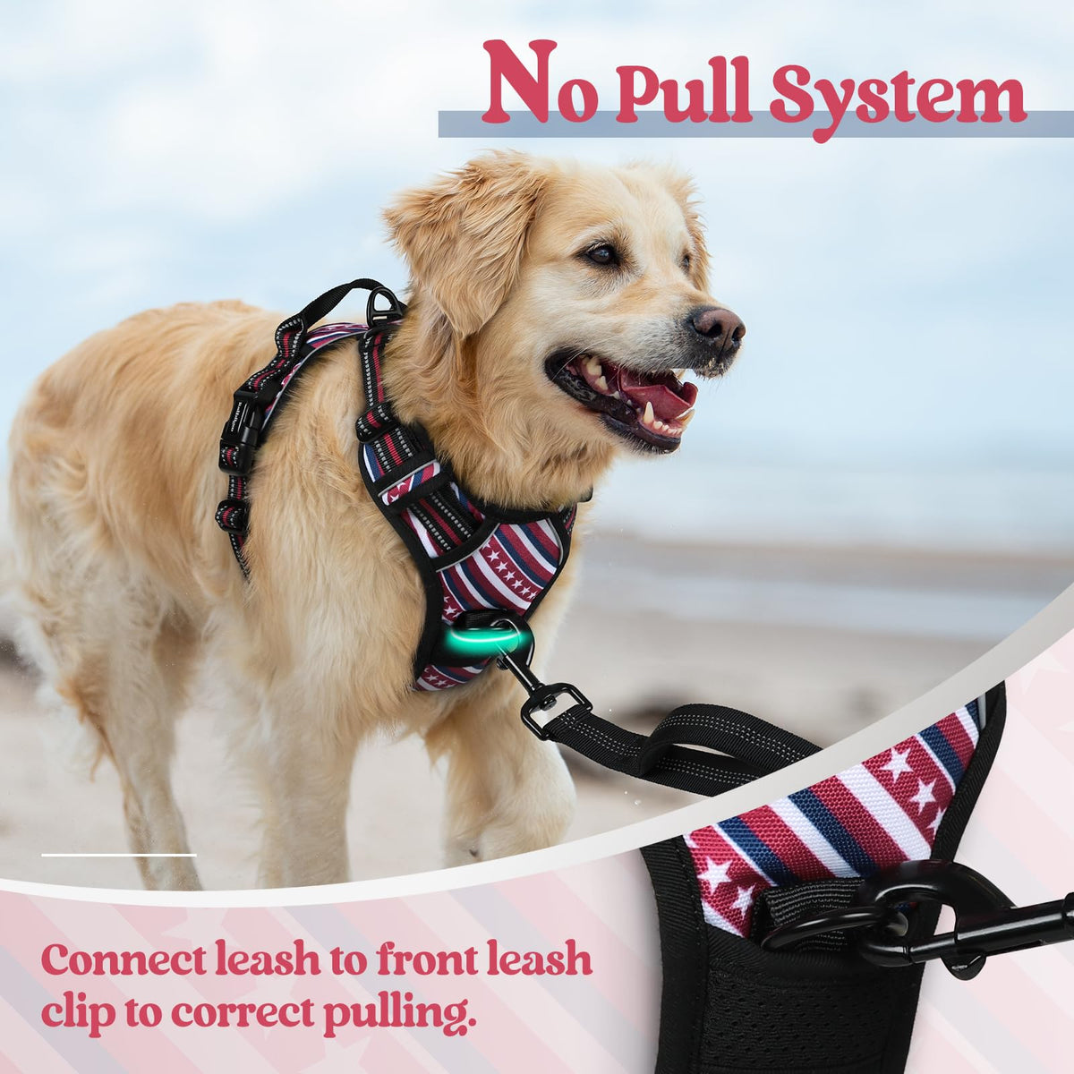 Dog Harness No Pull for Small Dogs with 2 Leash Clips (Red Stripe / Small)