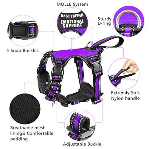 Pet Harness Collar and Leash Set (Small / Purple)