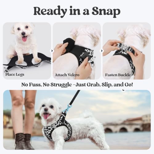 Dog Harness Medium Sized and Leash Set (Black White Cow / M (chest: 16 - 18.5"))