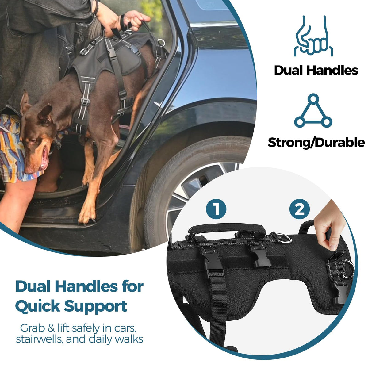 Dog Lift Harness for Large Dogs (Black / Large)