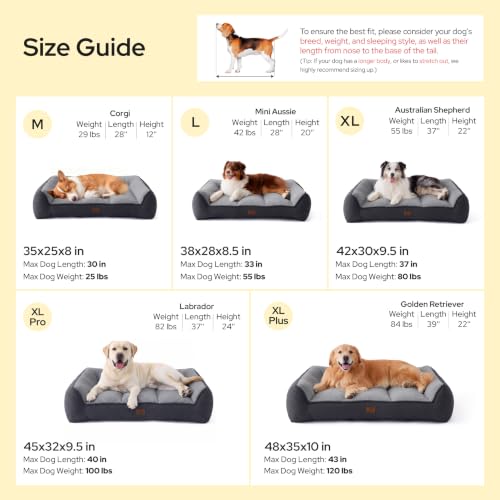 SupportMax® Extra Thick Orthopedic XL Dog Bed for Extra Large Dogs (Cream / 48"l X 35"w X 10"th)