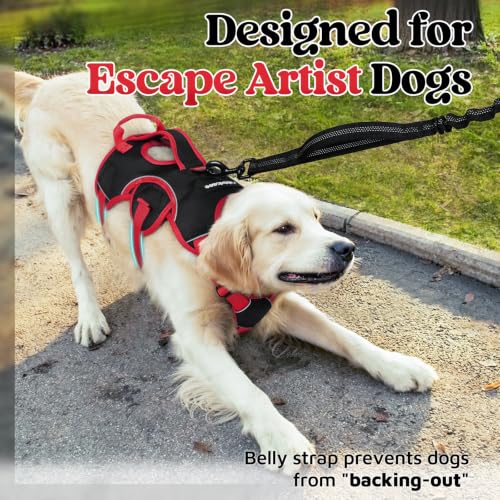Escape Proof Dog Harness for Medium (Red & Black / Medium)