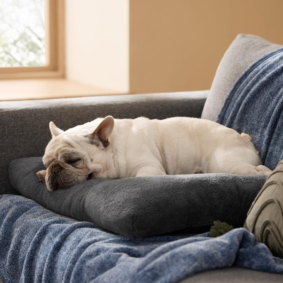 Washable Dog Bed Medium Size Dog (29"L x 21"W x 3"Th (M) / Dark Gray)