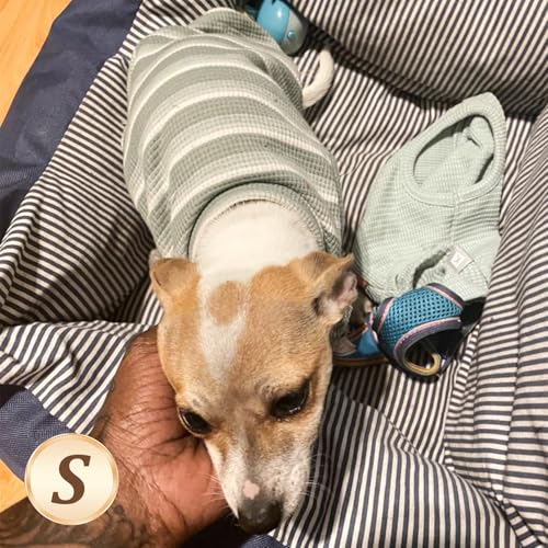2Pack Waffle Dog Shirt for Small Dogs Soft Dog Sweater Tank Top (Small (4-7lbs) / 2Pack(Blue+Grey))