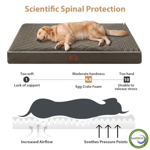 Orthopedic Waterproof XL Dog Bed for Crate Cozy Sleep (Dark Green / 41"L x 27"W x 4"Th)