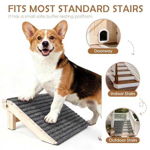 Foldable Dog Ramp for Stairs (Foldable / 2 PACK-FLD 13.8"Lx10.2"Wx4.3"H)