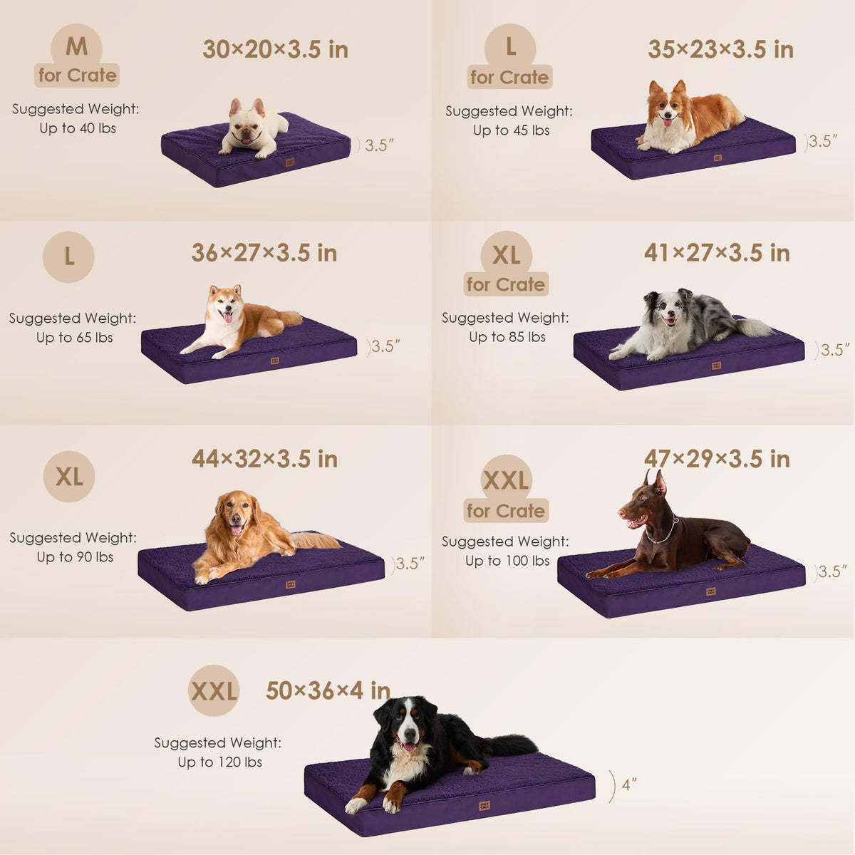 Orthopedic Dog Bed Large with Removable Washable Cover (36*27*3.5 inches / Purple)