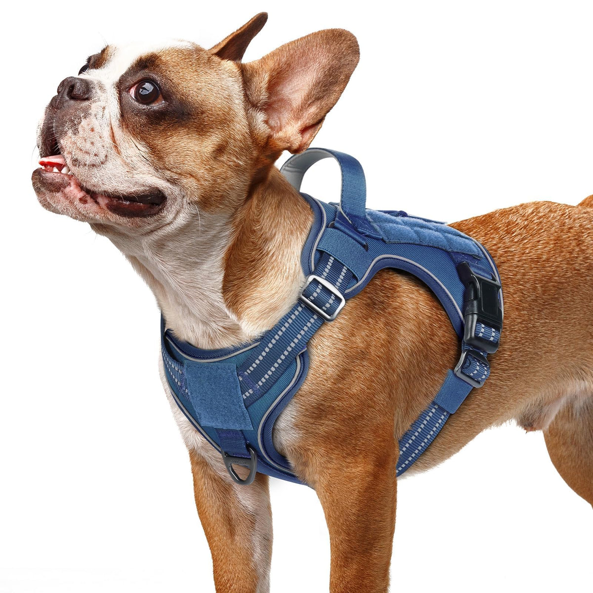 Tactical Dog Harness for Small Dogs (S(Chest:16.1"-31.5",Neck:15.4"-21.6",Back:7.1") / Blue)