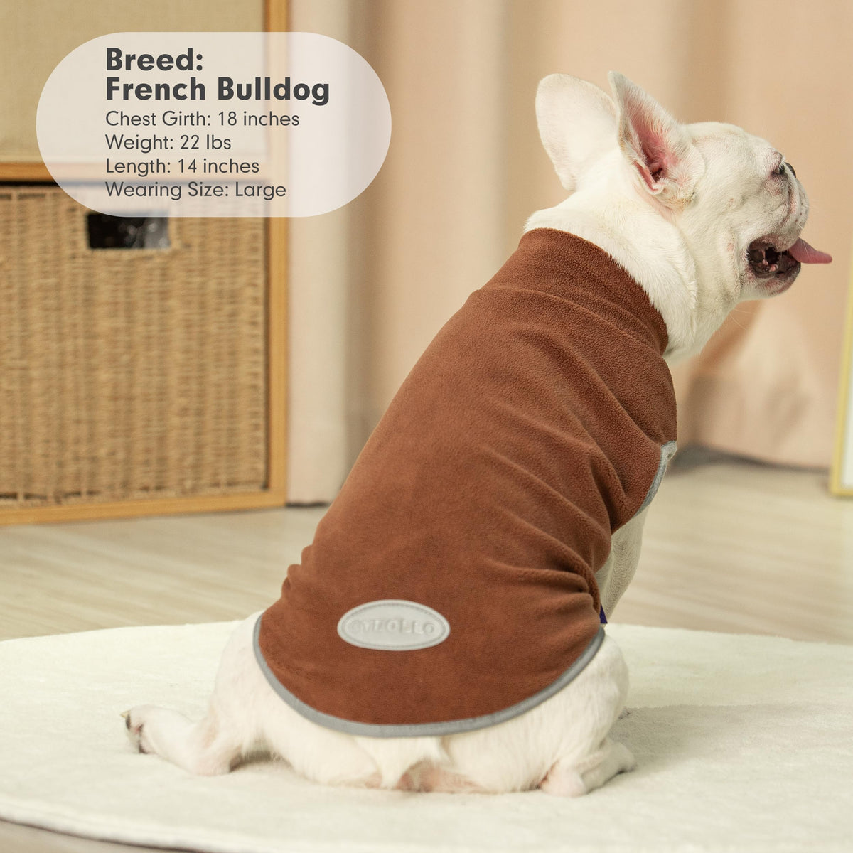 2 Pack Fleece Dog Sweater Pullover Lightweight Reflective Jacket (Small / Brown & Khaki)
