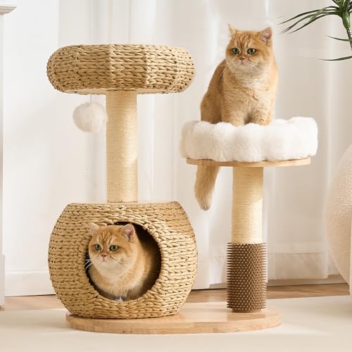 Modern Cat Tree for Indoor Small & Medium Cats (Natural w/ Bed-30")