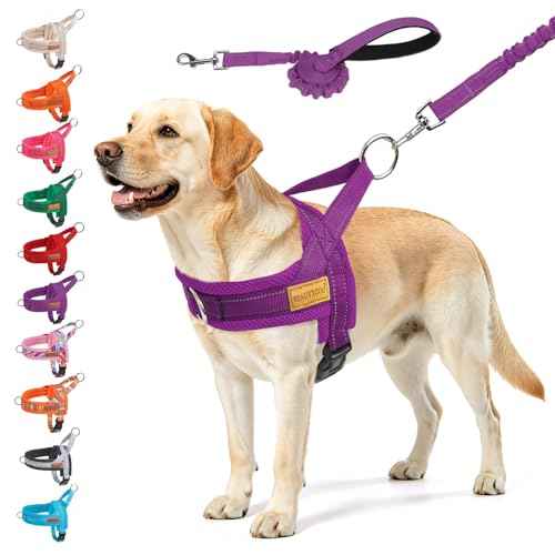 Dog Harness for Large Dogs (Purple / L: Chest 26"-32")