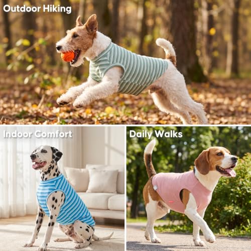 2Pack Waffle Dog Shirt for Small Dogs Striped Dog Sweater Tank Top (Small (4-7lbs) / 2Pack(Green+Striped))